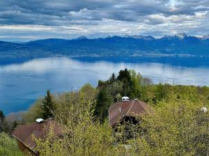a view of a large body of water with mountains at La Barque in Thollon