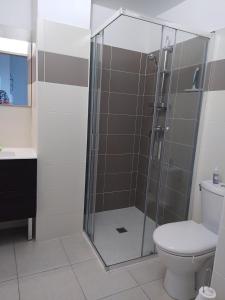 a bathroom with a shower and a toilet at studio rdc avec terrasse et parking privé in Agde