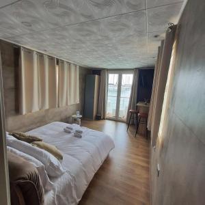 a bedroom with a large bed in a room at Viva Suitesboat in Marina di Montenero