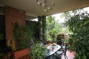 Zahrada ubytování La Terrazza Sul Po