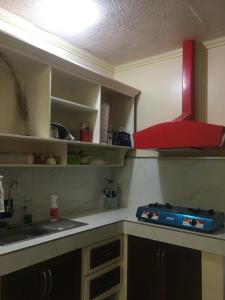 Η κουζίνα ή μικρή κουζίνα στο Accessible Tiny home for travelers with fresh air