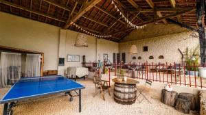 a ping pong table in the middle of a room at La Grange des Anges in Blanc