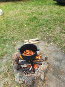 Ảnh trong thư viện ảnh của Domek letniskowy ở Tręby Stare