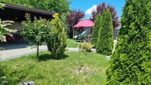 Fotografie z fotogalerie ubytování Salt Orchid Apartments v destinaci Turda + 49 fotografií