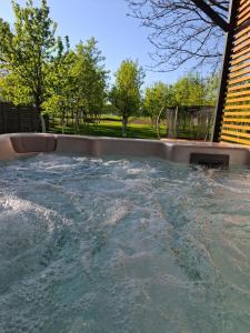 una piscina profunda con agua en un patio trasero en House DIKA- sauna & jacuzzi, en Otočac
