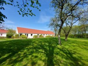 ein Baum mitten auf einem Feld mit einem Gebäude in der Unterkunft Læsø Efterskole in Læsø