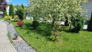 Fotografie z fotogalerie ubytování Salt Orchid Apartments v destinaci Turda