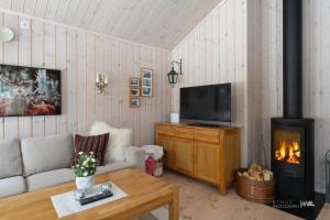 - un salon avec un canapé et une cheminée dans l'établissement Nesfjellet, à Nes i Ådal