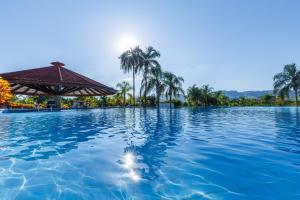 a pool at a resort with palm trees in the background at Daj Resort & Marina in Ribeirão Claro