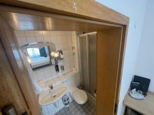 een badkamer met een wastafel, een toilet en een spiegel bij Hotel Hafner in Stuttgart