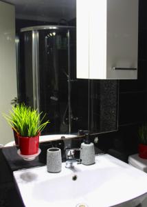 lavabo con espejo grande y planta en SERENITY yard apartment en Poros