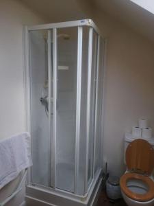 uma casa de banho com um WC e uma cabina de duche em vidro. em Owl's Barn Quiet & private Twin bed 