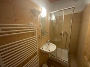 Kúpeľňa v ubytovaní Első Fecske apartmanok