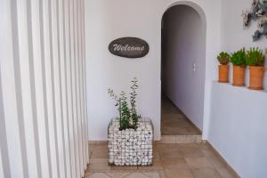 Fotografia z galérie ubytovania Laia Seafront Luxury Apartments v destinácii Agia Pelagia