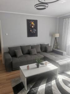 a living room with a couch and a coffee table at Sidus in Satu Mare