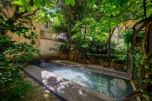 フィレンツェにあるDuomo Luxury Apartment with plunge poolの木の植わる庭のスイミングプール