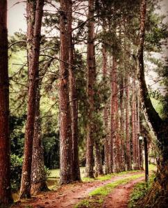 纳扎雷保利斯塔Sítio Vale da Colina-Nazaré Paulista - 6 pessoas的相册照片