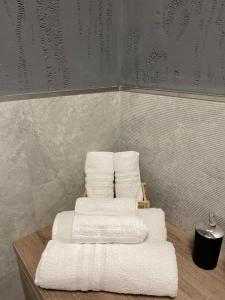 Koupelna v ubytování Apartment Cavour 68