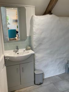 Vannituba majutusasutuses Pyggwyn +16 fotot