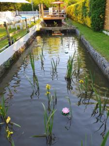 a pond with a pink flower in the middle at Moulin Du Pommier Glamping & Camping in Saulgond