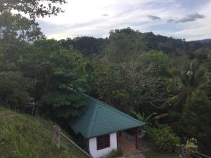 瓜拉大汉D view hill hotel的森林中带绿色屋顶的小房子