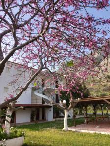 Φωτογραφία από το άλμπουμ του mourkos-apartments στο Κρυονέρι