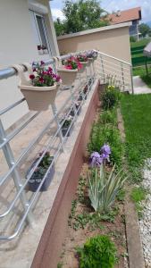 Imagen de la galería de Sead, en Doglodi