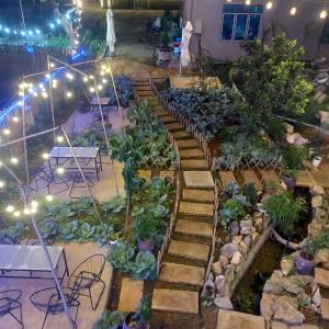 a garden with a bunch of plants and stairs at mộc châu homestay in Làng Môn