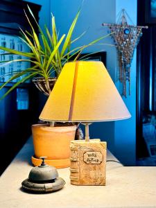 達特恰的住宿－Villa Anfora，坐在植物旁边的桌子上的灯