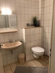 een badkamer met een toilet en een wastafel bij Zur-Kirsche in Nahrendorf