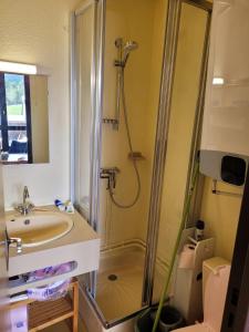 een badkamer met een douche en een wastafel bij Découverte de la vallée d'Eyne et des bains de Llo in Eyne