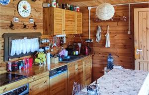 a kitchen with wooden cabinets and a counter top at Pet Friendly Home In Wiselka With House A Panoramic View in Wisełka