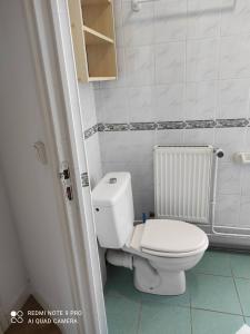 ein Bad mit einem weißen WC in einem Zimmer in der Unterkunft Superbe F3 dans résidence calme, in Nancy
