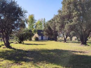 a house in the middle of a field with trees at Cabaña de Pez in San Rafael +7 photos