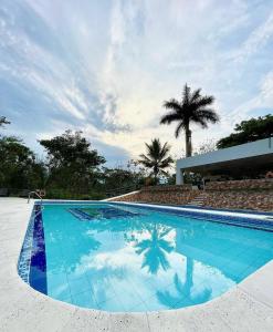ein blauer Pool mit einer Palme im Hintergrund in der Unterkunft Eco Hotel Montenegro in Medellín