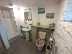 ein Badezimmer mit Toilette und Waschbecken in der Unterkunft Horseshoe Cottage Aberaeron in Ciliau-Aeron + 12 Fotos