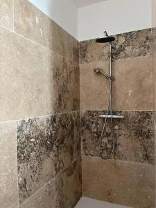 a bathroom with a shower with a stone wall at Villa charmante à Châteaurenard avec piscine privée in Châteaurenard