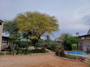 a garden with a tree and a swimming pool at Knowhere Selfcatering Unit 1 in Omaruru