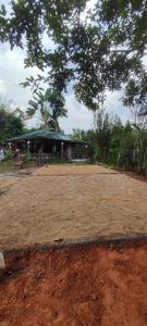 Zahrada ubytování DPuncakLui Campsite