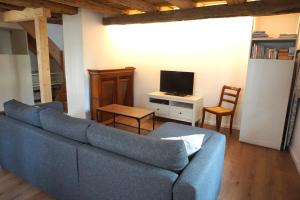 ein Wohnzimmer mit einem blauen Sofa und einem TV in der Unterkunft Gîte Les Hirondelles - maison typique - centre village - proche vignoble in Scherwiller