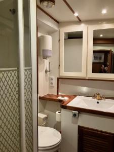 La petite salle de bains est pourvue de toilettes et d'un lavabo. dans l'établissement Mälardrottningen Yacht Hotel, à Stockholm