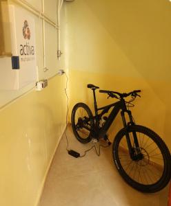 Jazda na bicykli v okolí ubytovania apartament dúplex "Alsina"
