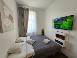 sypialnia z łóżkiem i telewizorem na ścianie w obiekcie 8 Small studio apartment w Kłajpedzie