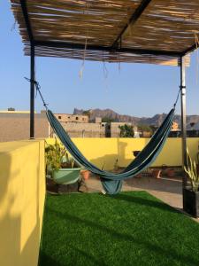 a hammock on a patio with green grass at Simple sunlight apartment - Assomada in Assomada