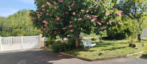 un árbol con flores rosas y un banco en un patio en LES RIVES DE LA DIVE les chambres 123 coaching, en Moncontour-de-Poitou