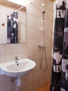 ein Bad mit einem Waschbecken und einer Dusche in der Unterkunft Ekhems Gård in Förslöv