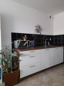 kuchnia z białymi szafkami i zlewem w obiekcie Room for women or couples w Lublanie