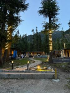a fire pit in a field with two trees at Infinity Villa and Resort Kumrat Valley in Tāl