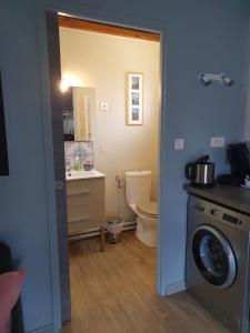a bathroom with a toilet and a washing machine at Nuits & Jours Duplex à Nuits Saint Georges in Nuits-Saint-Georges