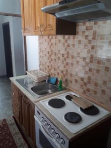 een keuken met een fornuis en een wastafel bij Apartman Break 2 in Bijeljina